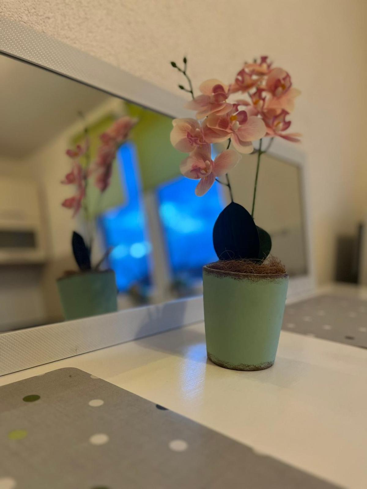 סראייבו Lovely Apartment In Old Town 400M From City Center Sebilj מראה חיצוני תמונה