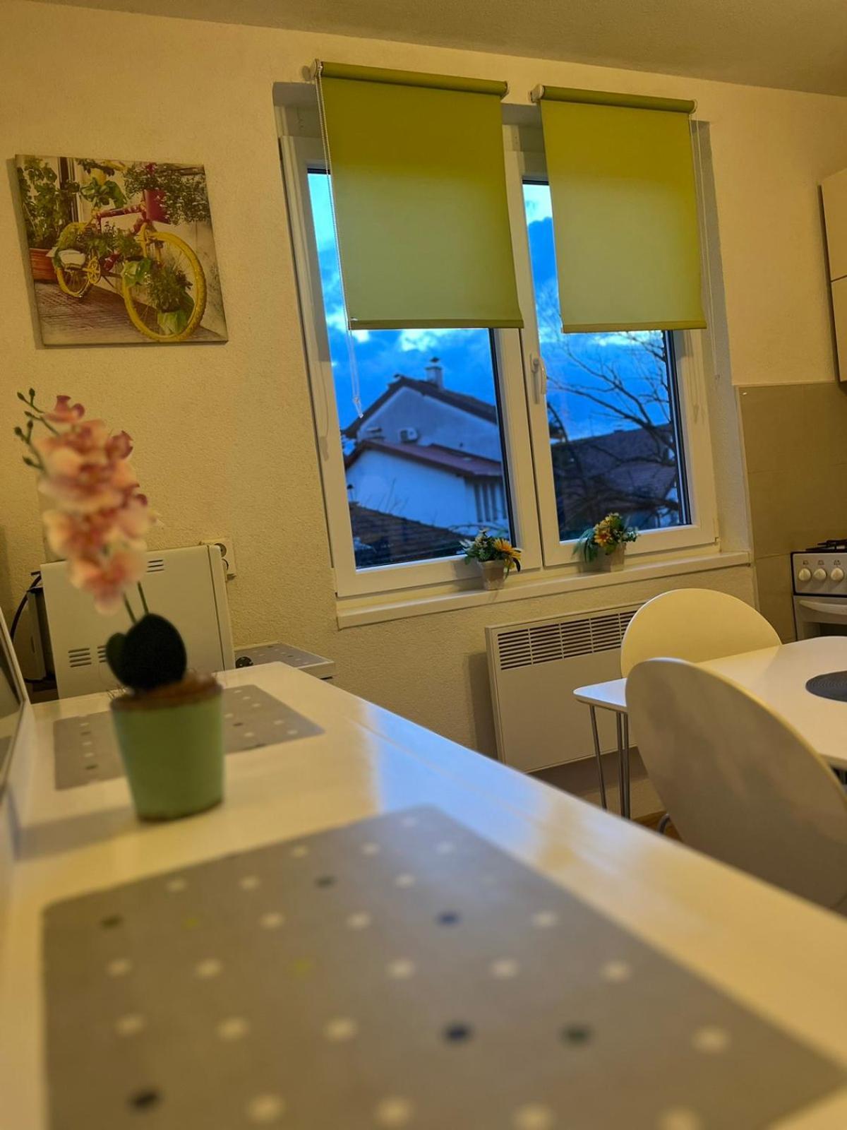 סראייבו Lovely Apartment In Old Town 400M From City Center Sebilj מראה חיצוני תמונה