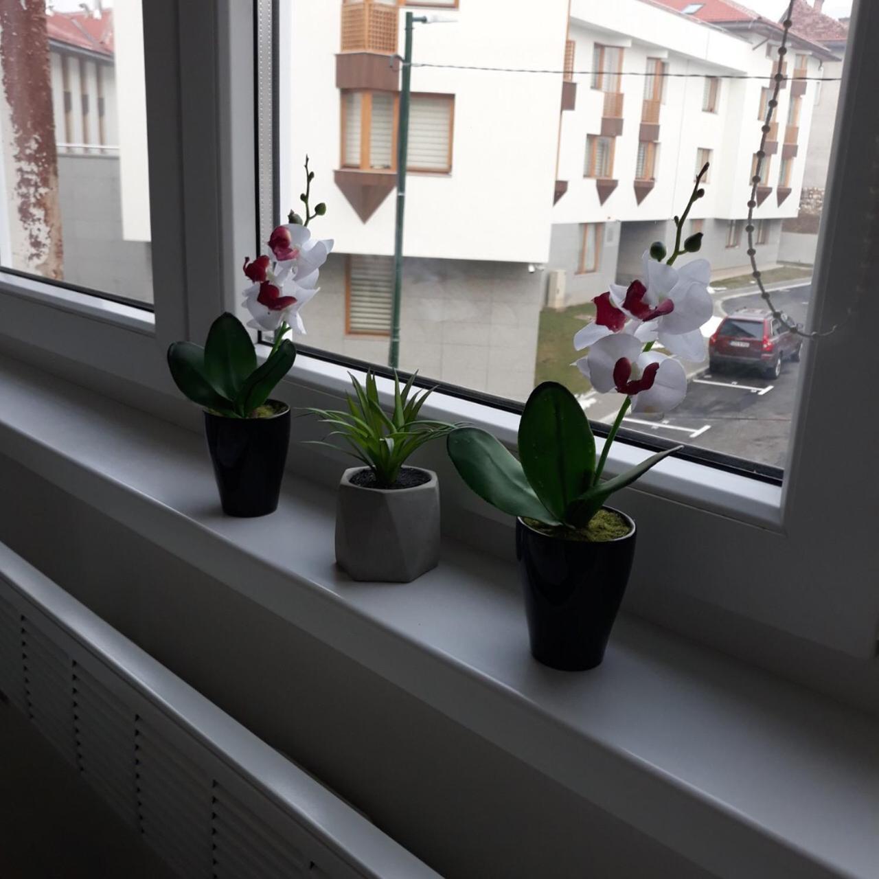 סראייבו Lovely Apartment In Old Town 400M From City Center Sebilj מראה חיצוני תמונה